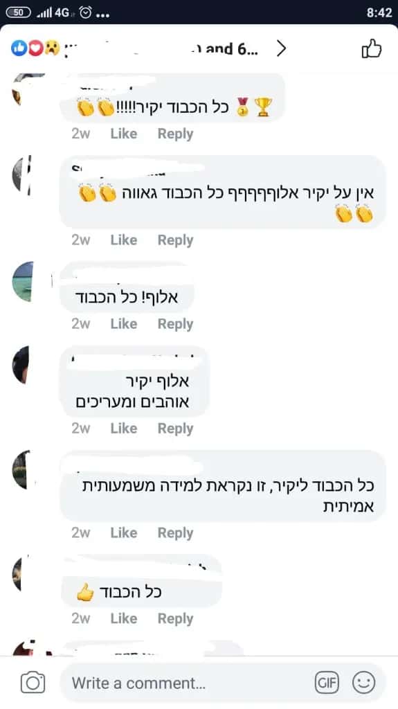 המלצה 2
